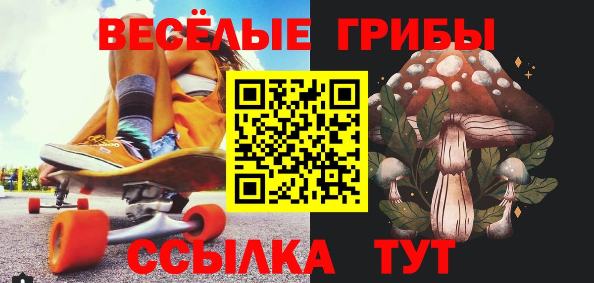 Псилоцибиновые грибы прущие грибы  Вход с VPN  Кизилюрт 